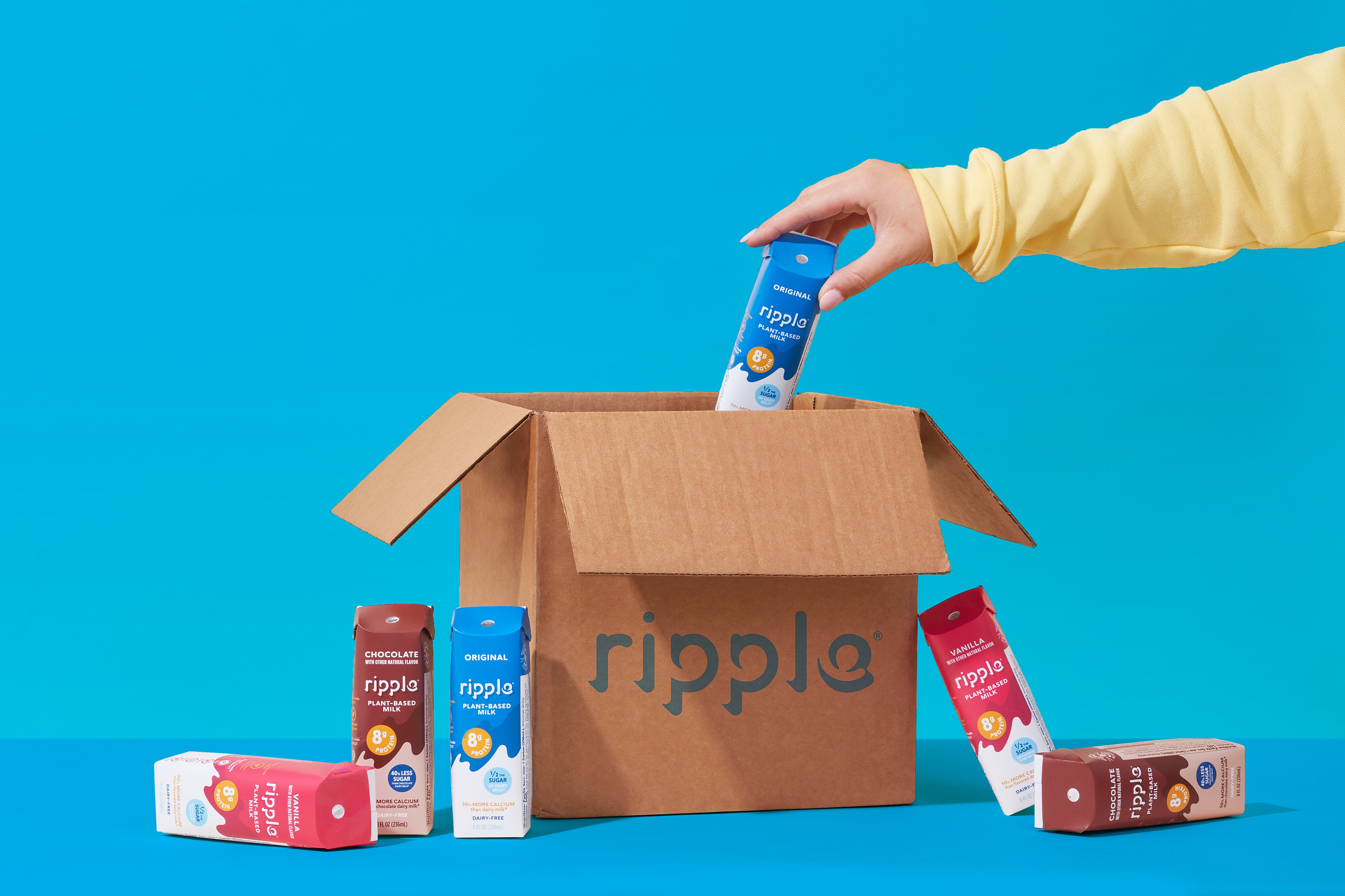 Ripple On-The-Go Non-Dairy Chocolate Milk (12-pack)